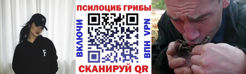 наркошоп  Афипский  Галлюциногенные грибы Psilocybe 